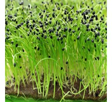 Льняні килимки для мікрозелені